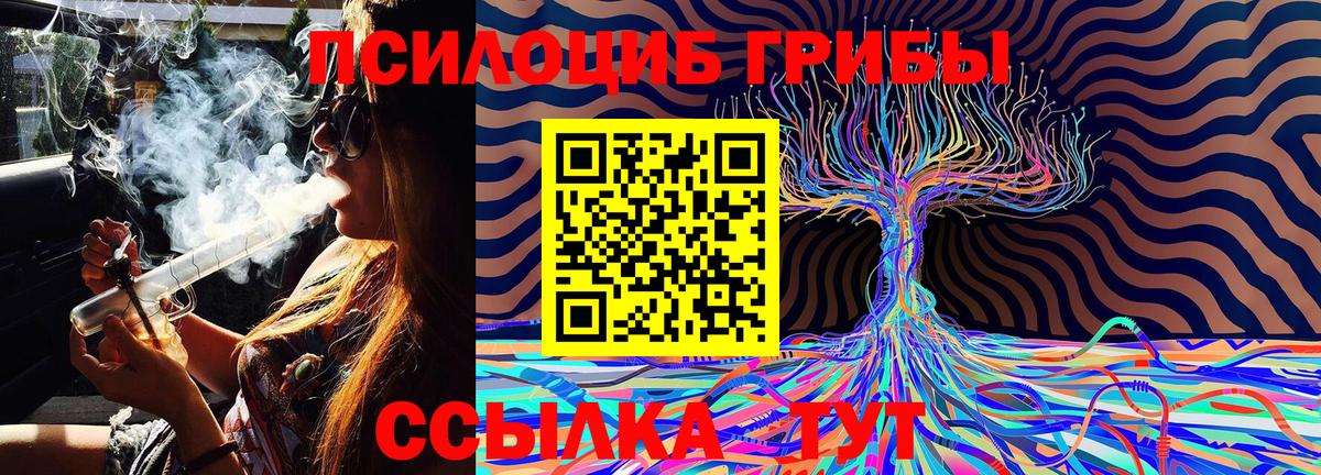 Псилоцибиновые грибы Psilocybine cubensis Еманжелинск