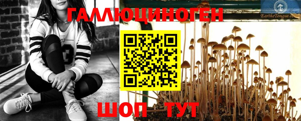 Псилоцибиновые грибы MAGIC MUSHROOMS  Вход с VPN  Еманжелинск 